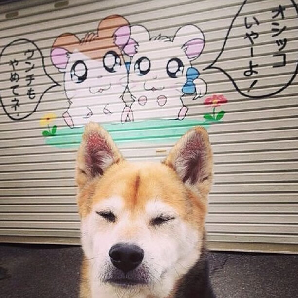 德甲：裁判判罚争议引发球迷热议，西甲裁判