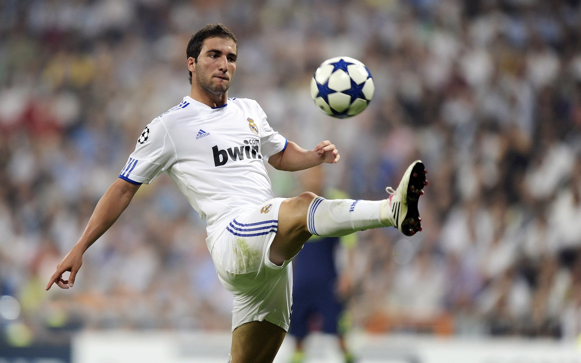 绿色节能足球场馆在多个城市落成，推动绿色体育发展，绿色节能设施有哪些