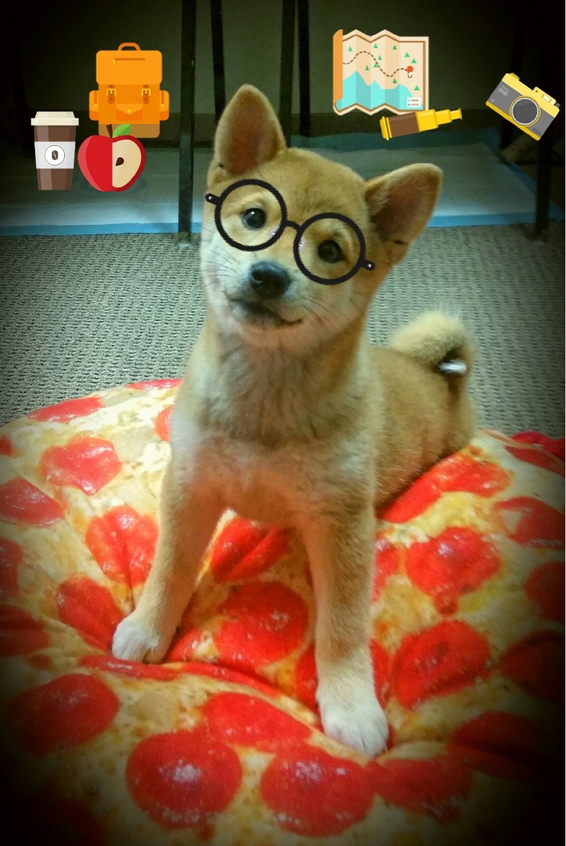 开云体育app网页版安全-半场比分：54-52，北京队略占优势，比赛悬念重重！，北京单场比分sp查询