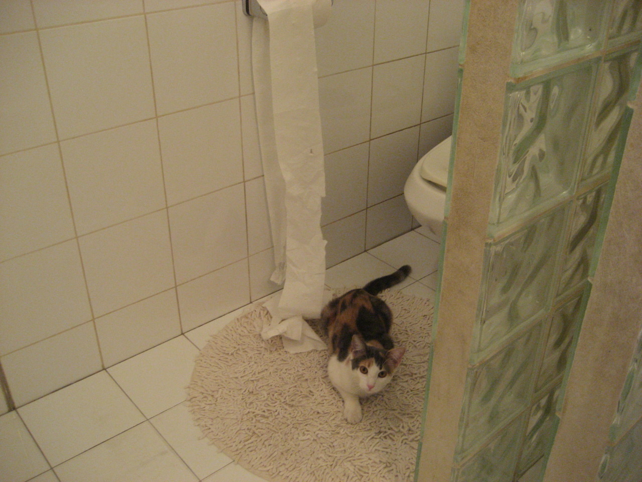 开云备用-拉齐奥3-0大胜乌迪内斯，奥斯梅恩梅开二度，拉齐奥vs乌迪内